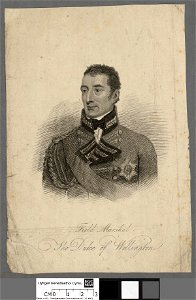 Portrait of Field Marshal the Duke of Wellington (4673508)