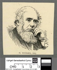 Portrait of H. Richard (4671031)
