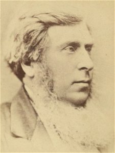 Portrait of Henry Robertson Esq. (of Pale, Llandderfel) (4671141) (cropped)