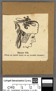 Portrait of Henry VII (4672578)