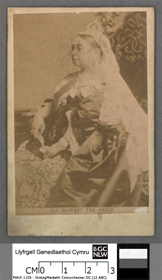 Portrait of Her Majesty the Queen (4671190)