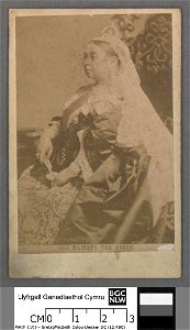Portrait of Her Majesty the Queen (4671190)