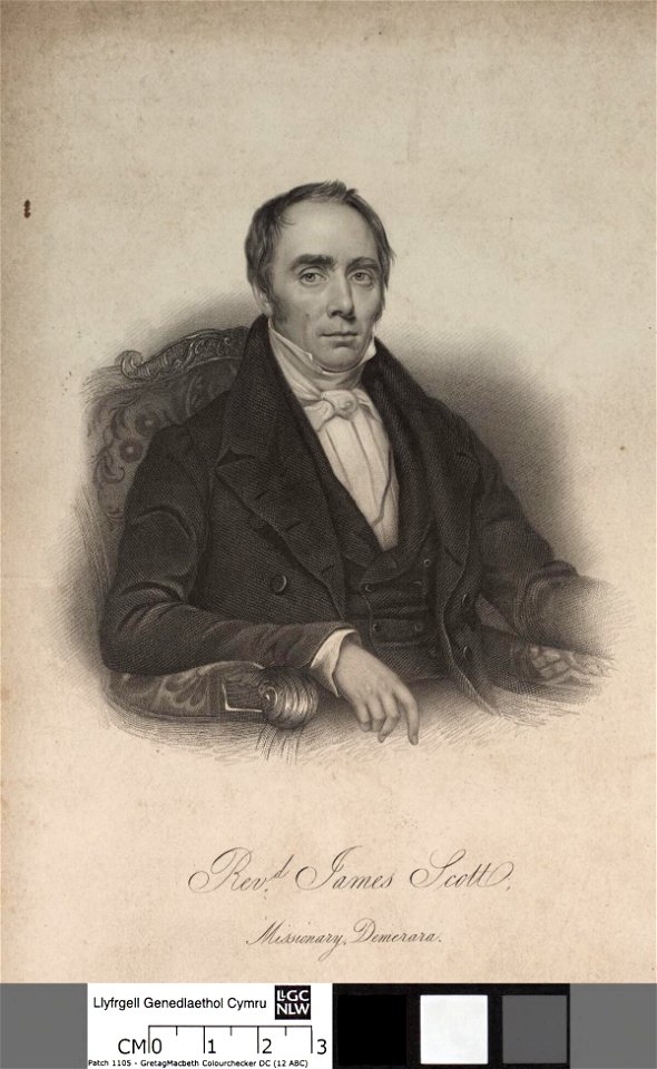 Portrait of James Scott (4673965)