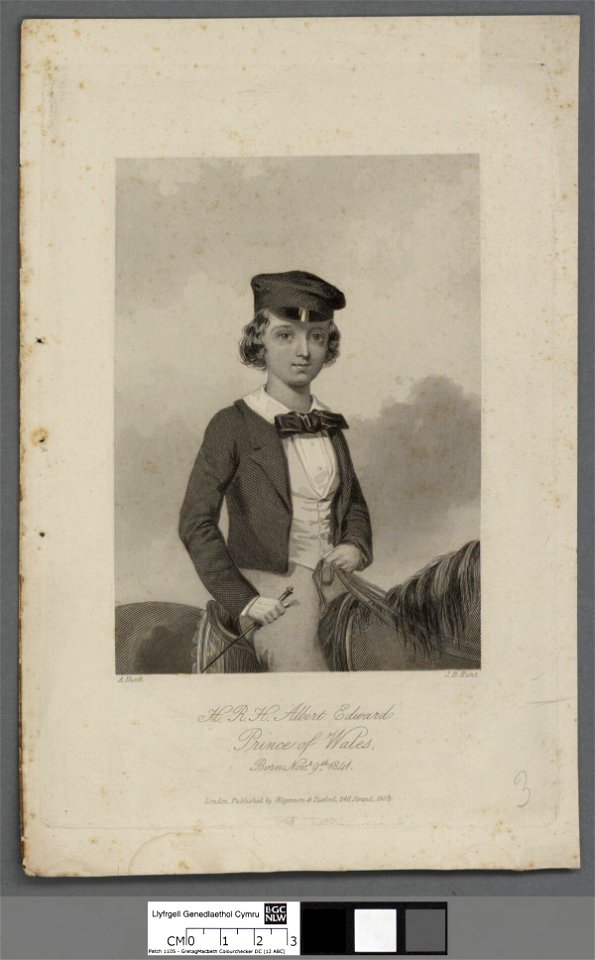 Portrait of H.R.H. Albert Edward Prince of Wales (4670637)
