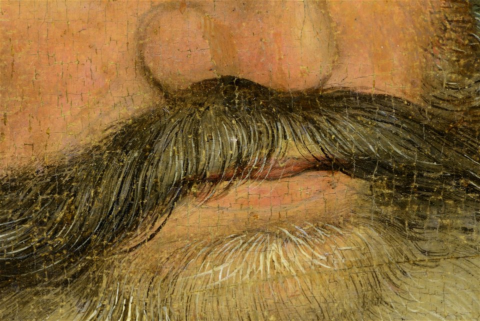 Portrait of Georg the Bearded, Duke of Saxony (DE WSE M0075 2013-02 Detail-004)