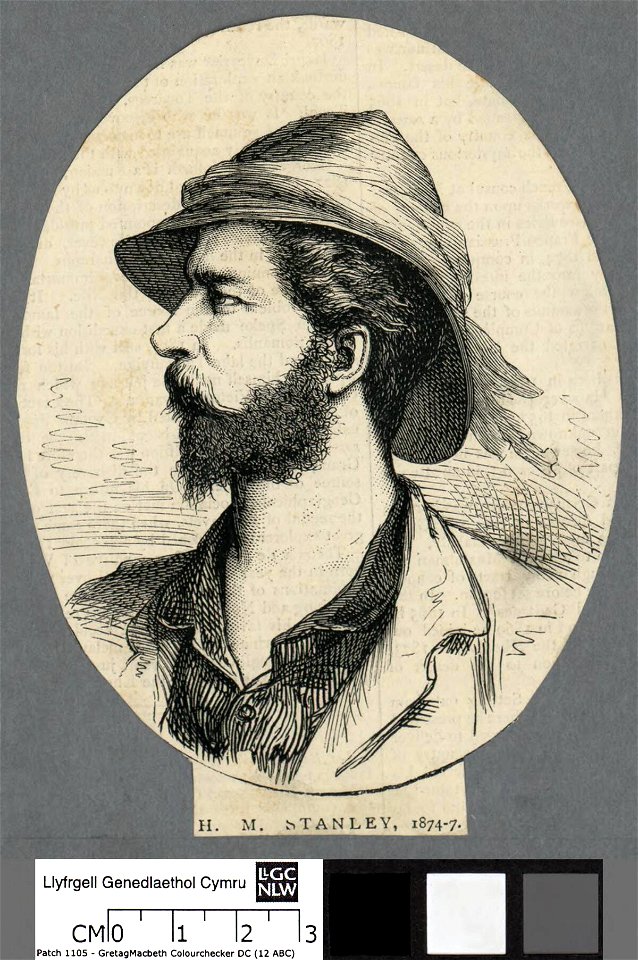 Portrait of H. M. Stanley, 1874-7 (4673856)