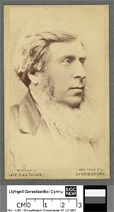 Portrait of Henry Robertson Esq. (of Pale, Llandderfel) (4671141)