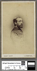 Portrait of Hugh Owen Thomas (4671478)