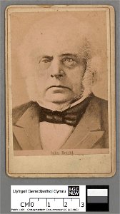 Portrait of John Bright (4673957)