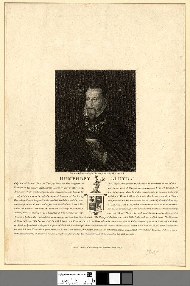 Portrait of Humphrey Lluyd (4671610)