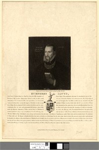 Portrait of Humphrey Lluyd (4671610)