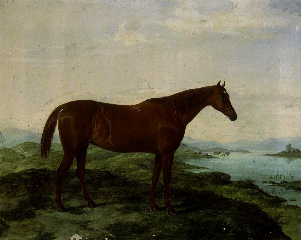 Portrait of hunter Molly Hick