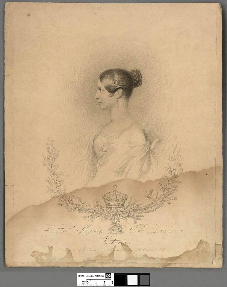 Portrait of Her Majesty the Queen Victoria (4674629)