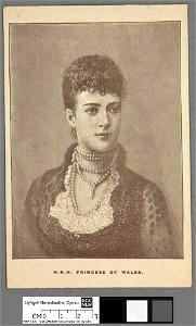 Portrait of H. R. H. Princess of Wales (4671235)
