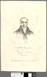 Portrait of Griffith Williams, neu Gutyn Peris, bardd (4673563)