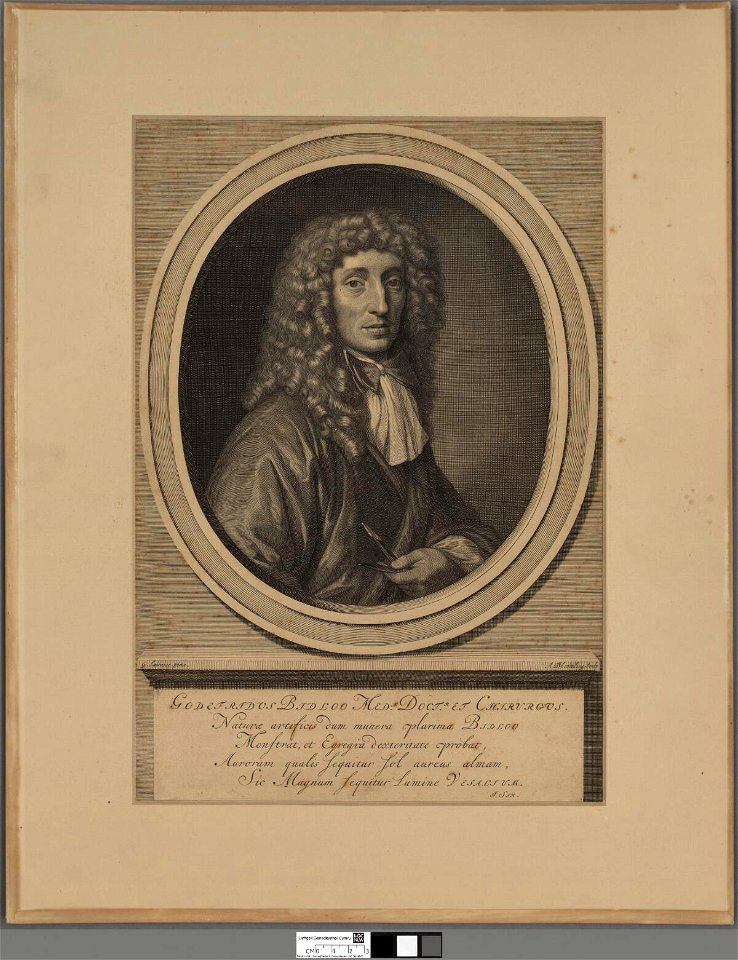 Portrait of Godefridus Bidloo Medae. Doctr. et Chirurgus (4674759)