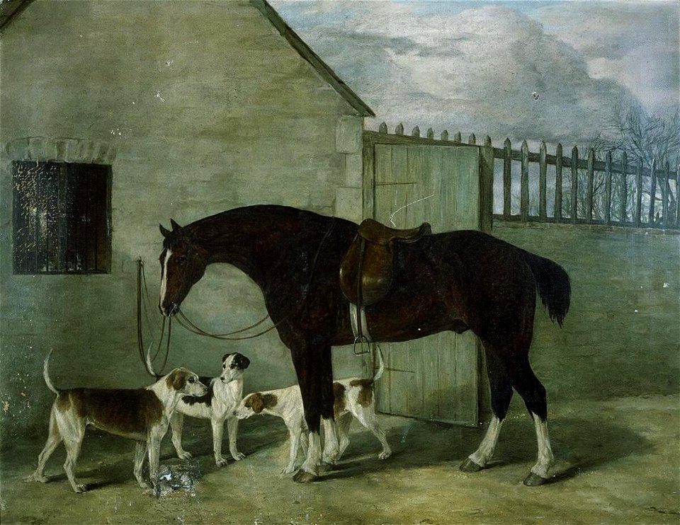 Portrait of hunter Magpie & dogs