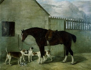 Portrait of hunter Magpie & dogs