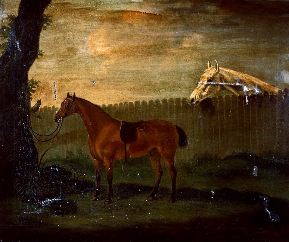 Portrait of hunter tied to tree