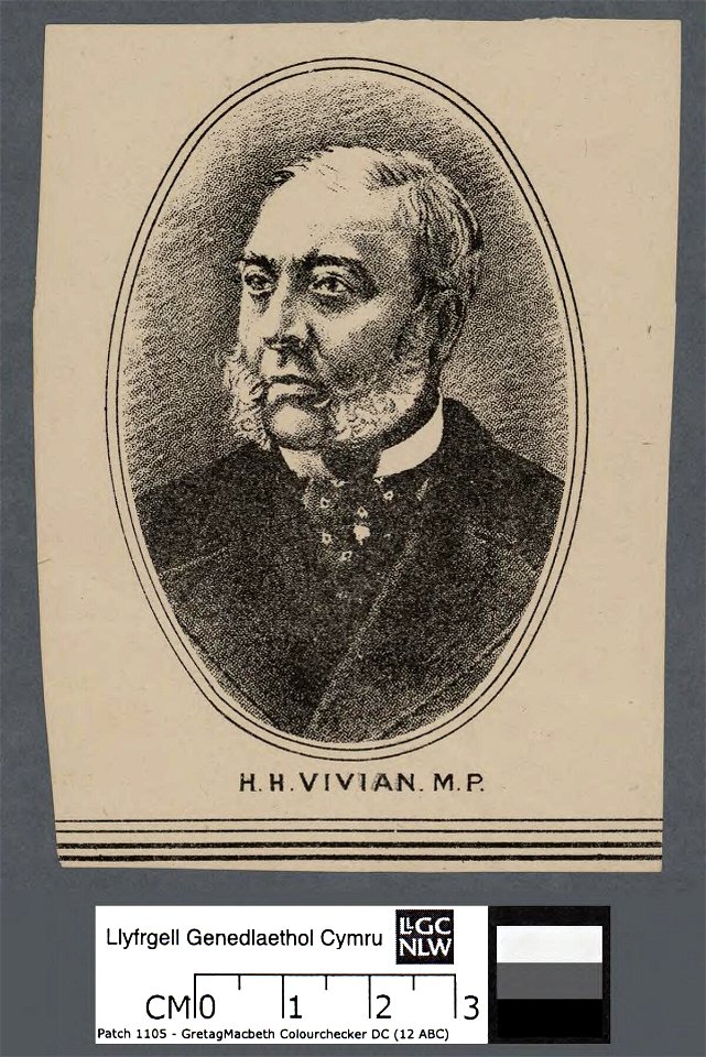 Portrait of H. Hussey Vivian, Esq., M.P (4671459)