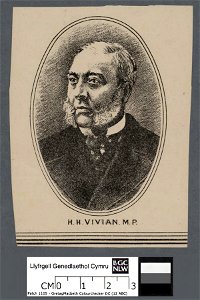 Portrait of H. Hussey Vivian, Esq., M.P (4671459)