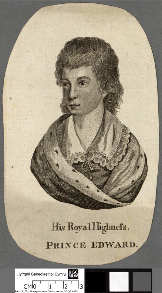 Portrait of His Royal Highness, Prince Edward (4673691)