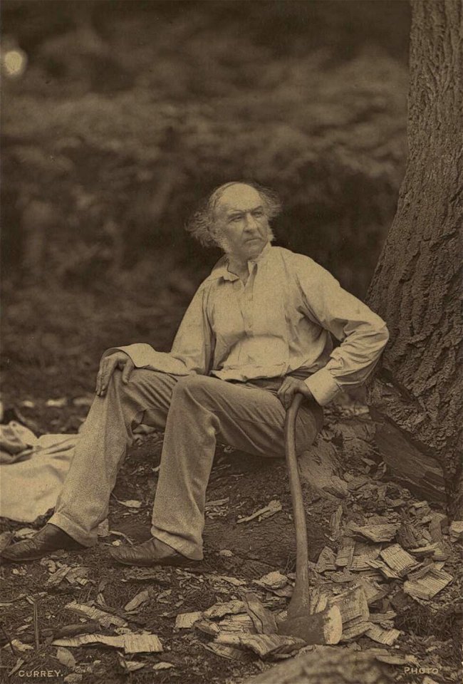 Portrait of Hawarden 1877 William Gladstone (4672759)