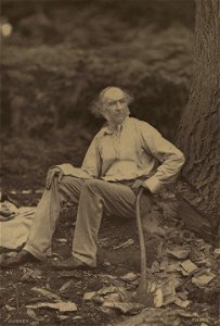 Portrait of Hawarden 1877 William Gladstone (4672759)