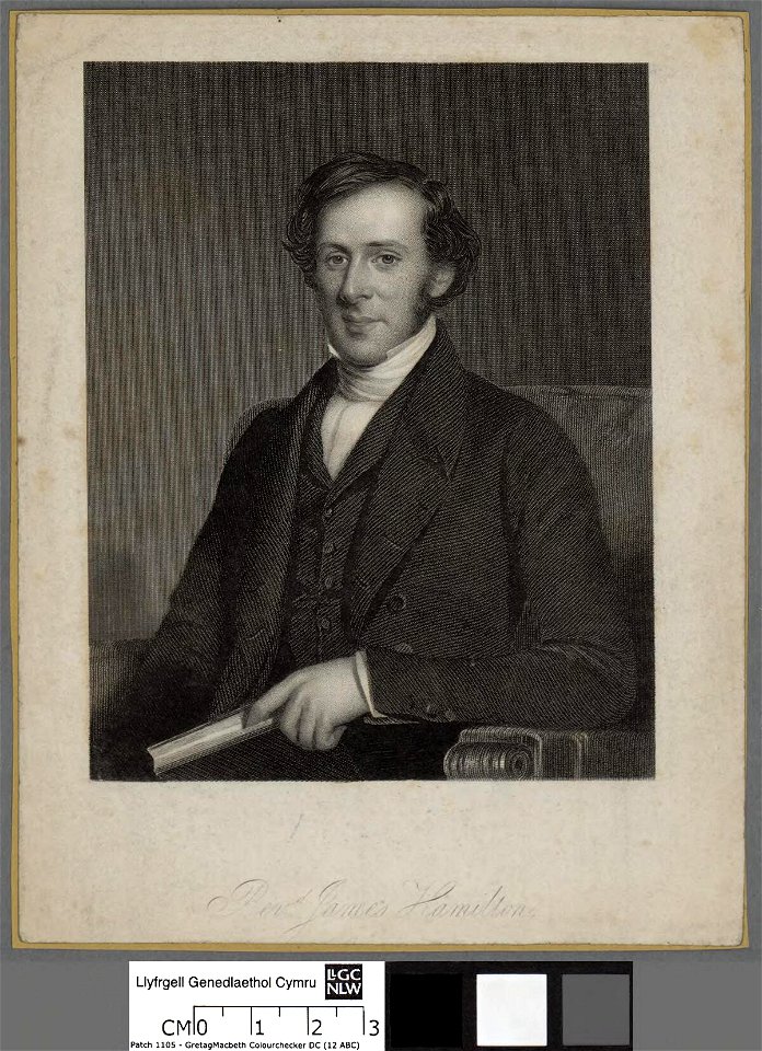 Portrait of James Hamilton (4674427)