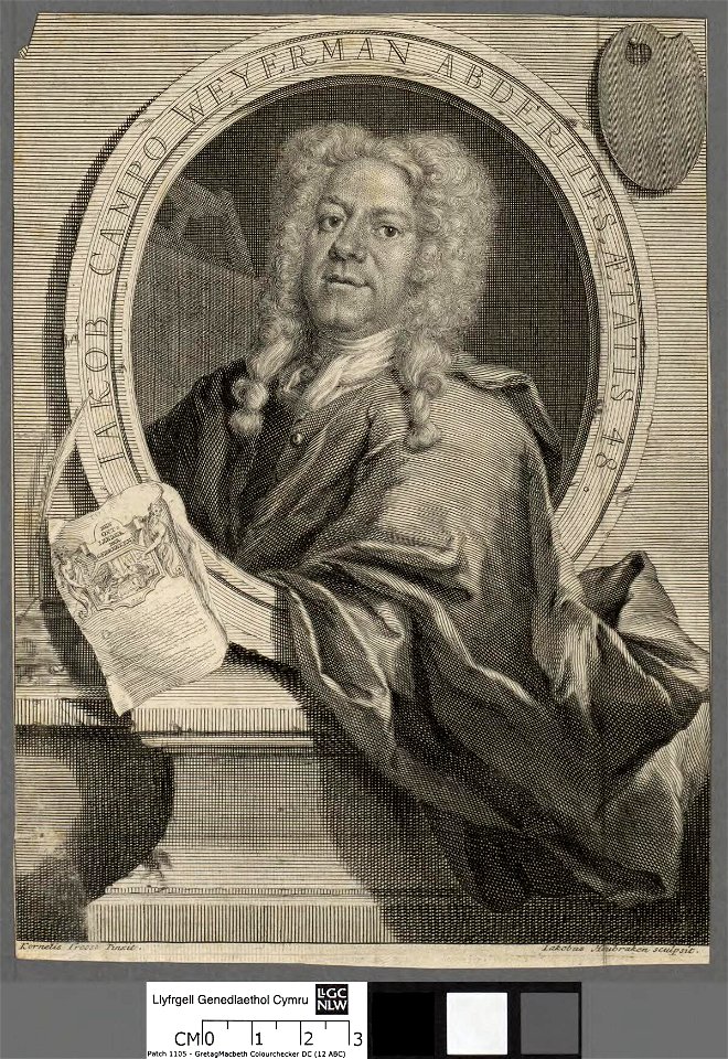 Portrait of Jakob Campo Weyerman (4673891)