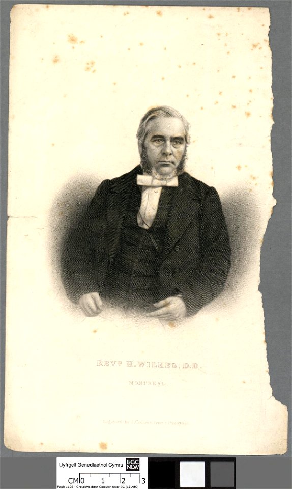 Portrait of H. Wilkes, D.D., Montreal (4673514)