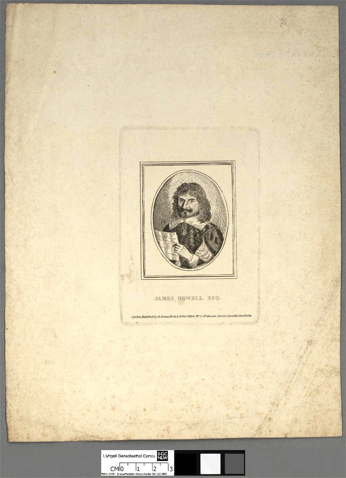 Portrait of James Howell Esq (4670912)