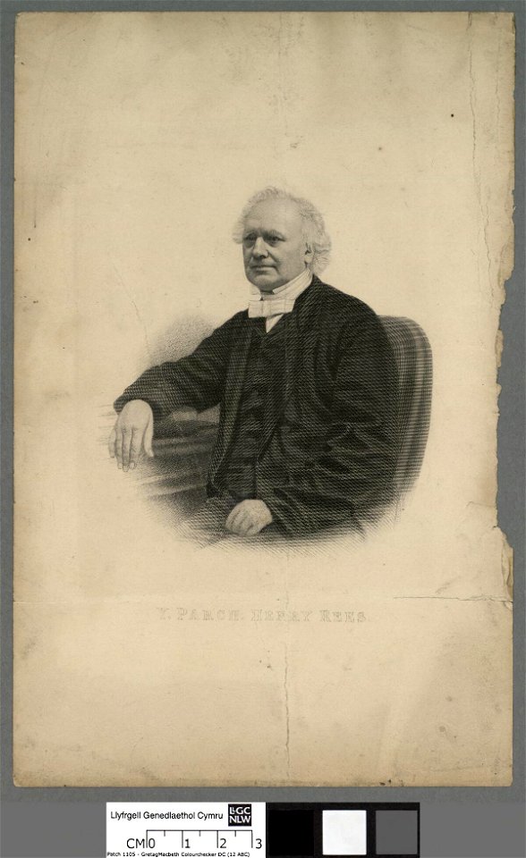 Portrait of Henry Rees (4674007)