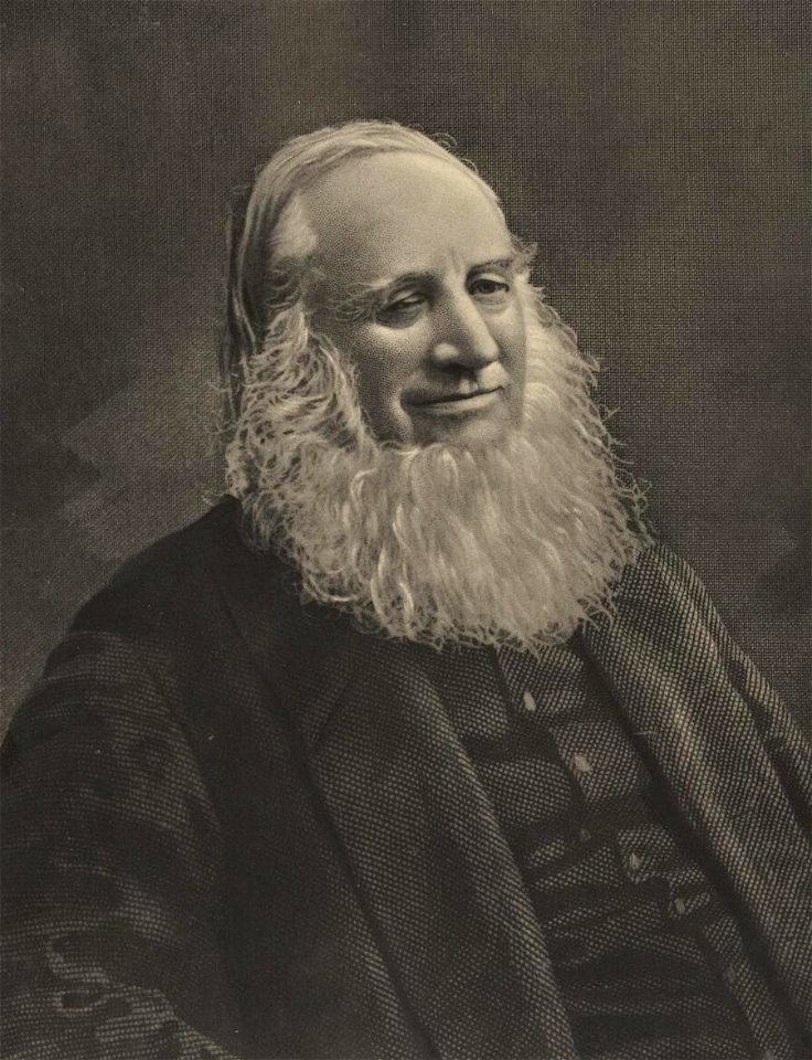 Portrait of Hiraethog (4674574)