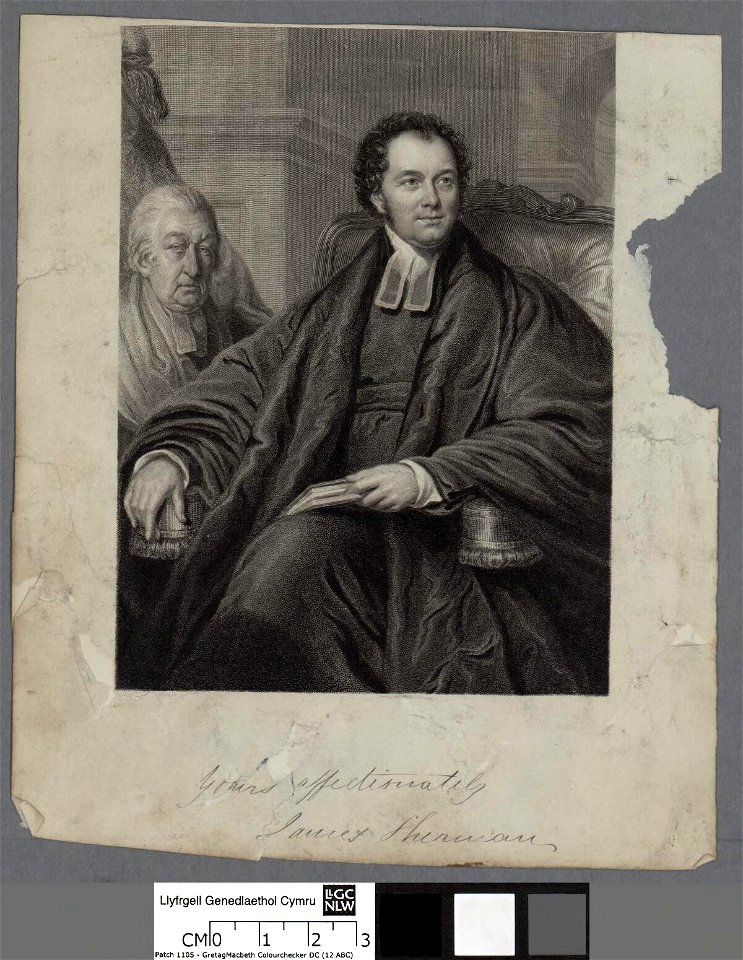 Portrait of James Sherman (4673845)