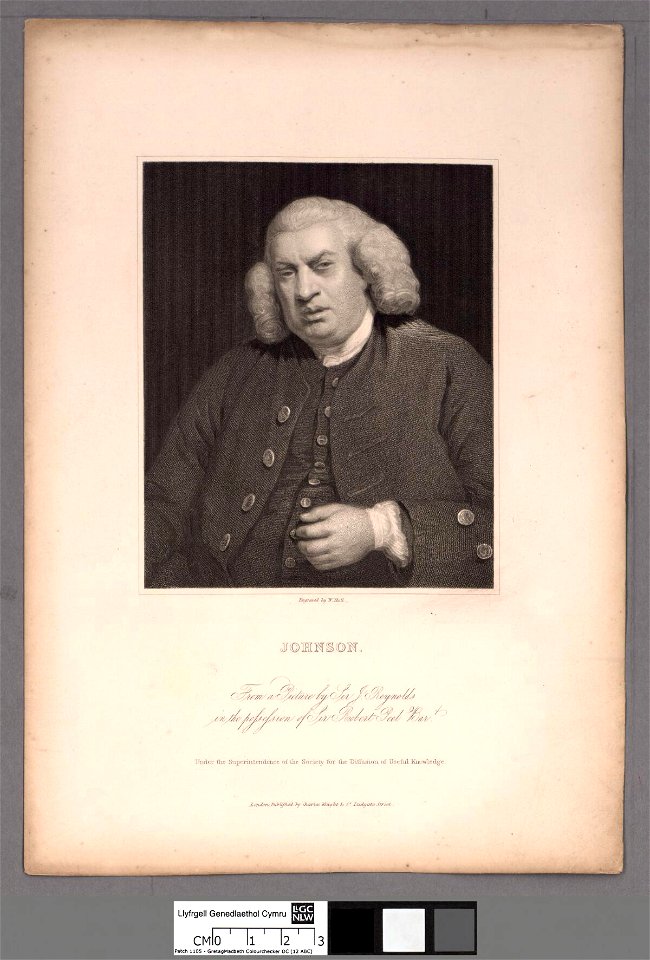 Portrait of Johnson (4670956)
