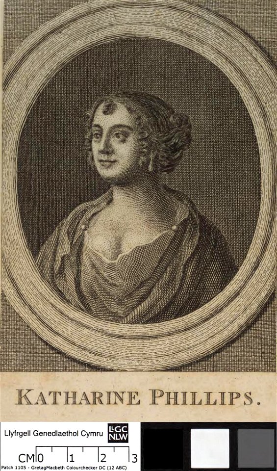 Portrait of Katharine Phillips (4673418)