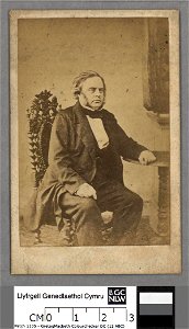 Portrait of John Bright (4671092)
