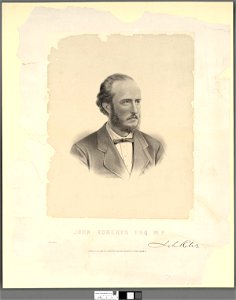 Portrait of John Roberts Esq. M.P (4674582)