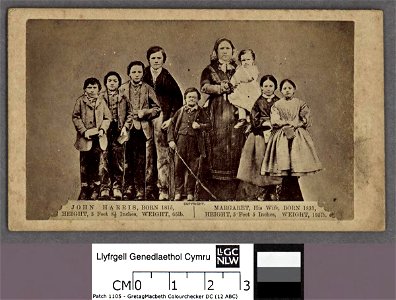 Portrait of John Harris born 1815 height 3 feet 8 and a half inches ; Margaret his wife, born 1831, height 5 feet 5 inches, weight 195 lb (4670268)