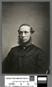 Portrait of John Rhys Morgan, D.D (4670413)