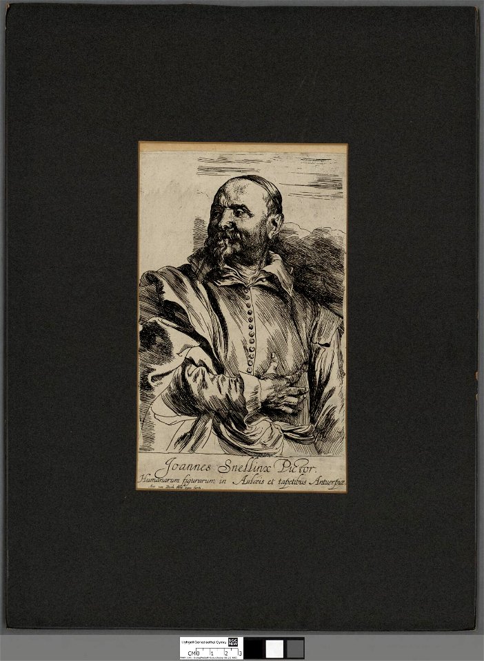 Portrait of Joannes Snellinx pictor (4671981)