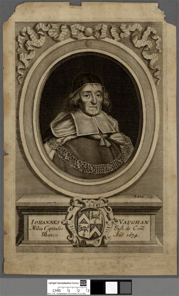 Portrait of Iohannes Vaughan (4672108)