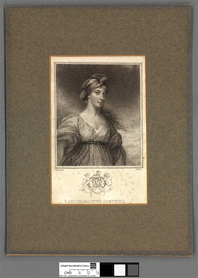 Portrait of Lady Charlotte Campbell (4671329)