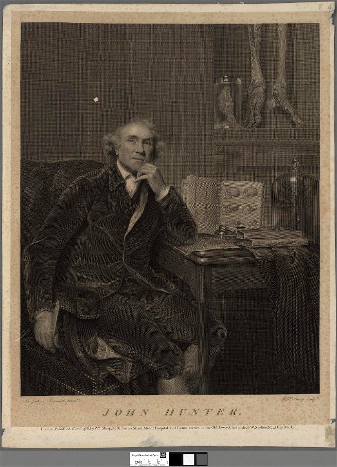 Portrait of John Hunter (4674699)