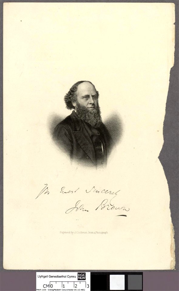 Portrait of John Brown (4673232)
