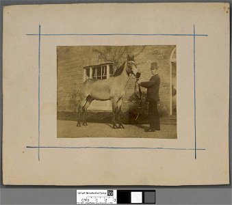 Portrait of John Vaughan (of Penmaen Dyfi) (4672109)