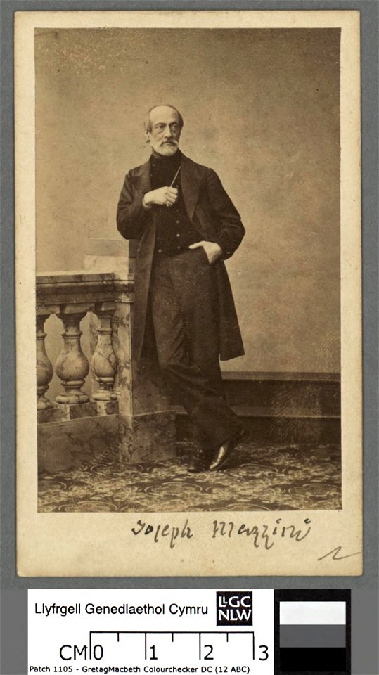 Portrait of Joieph Mazzini (4670404)