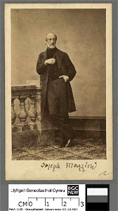 Portrait of Joieph Mazzini (4670404)