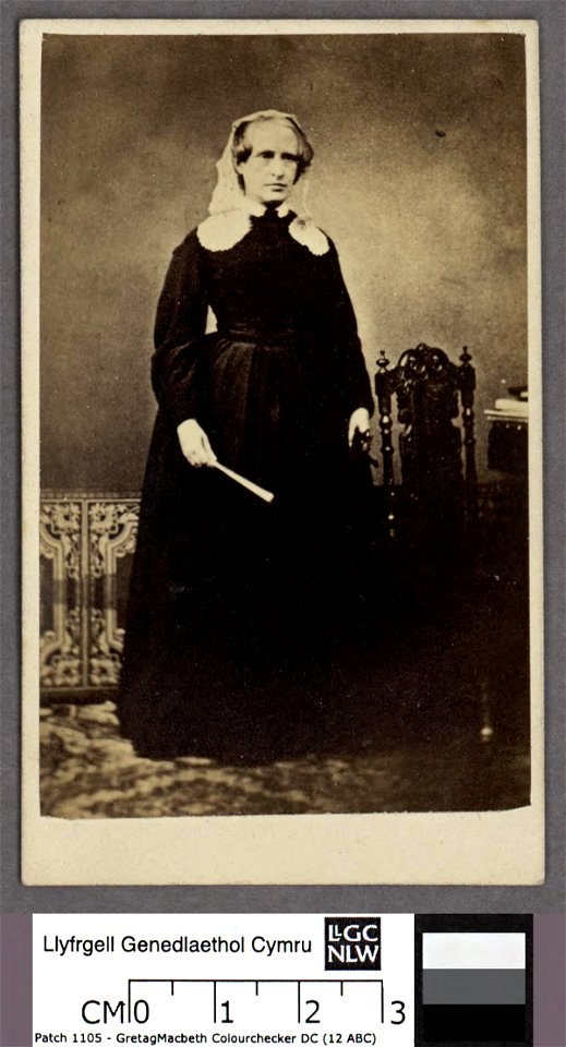 Portrait of Jane Williams, 'Ysgafell' (4671205)